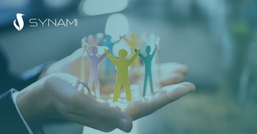 leadership-in-project-management-synami